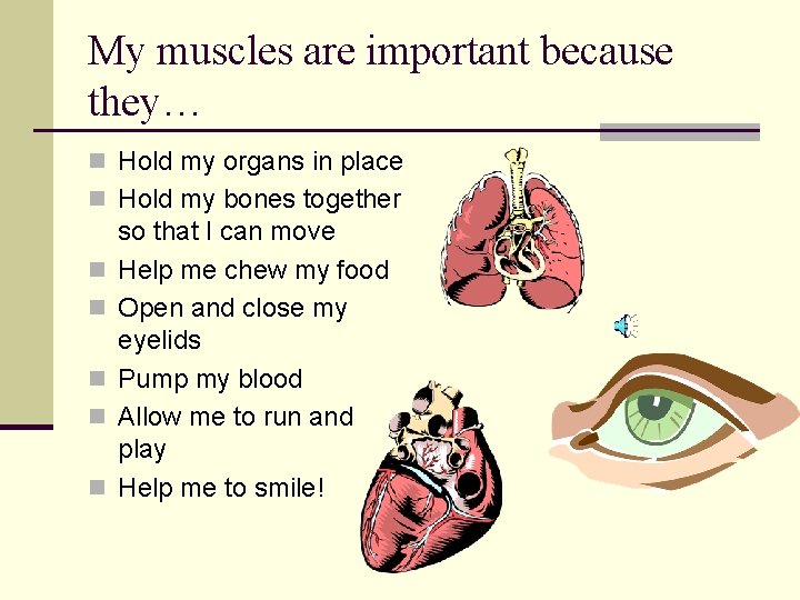 My muscles are important because they… n Hold my organs in place n Hold