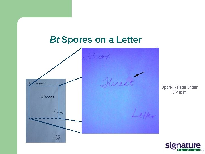 Bt Spores on a Letter Spores visible under UV light 