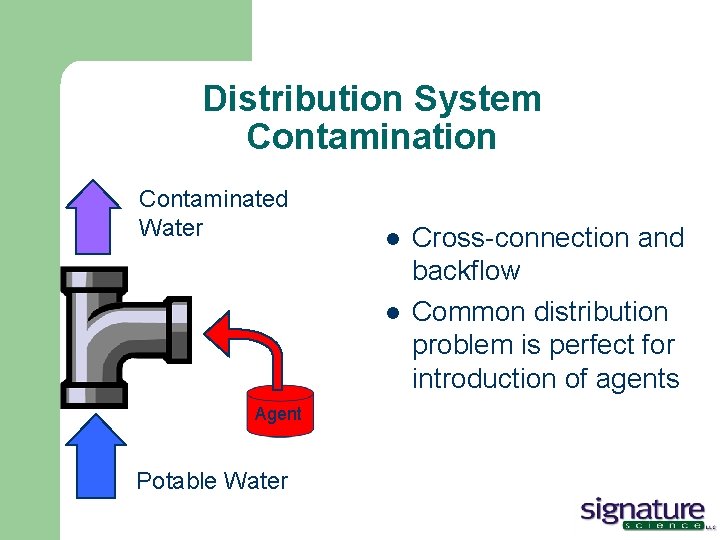 Distribution System Contamination Contaminated Water l l Agent Potable Water Cross-connection and backflow Common