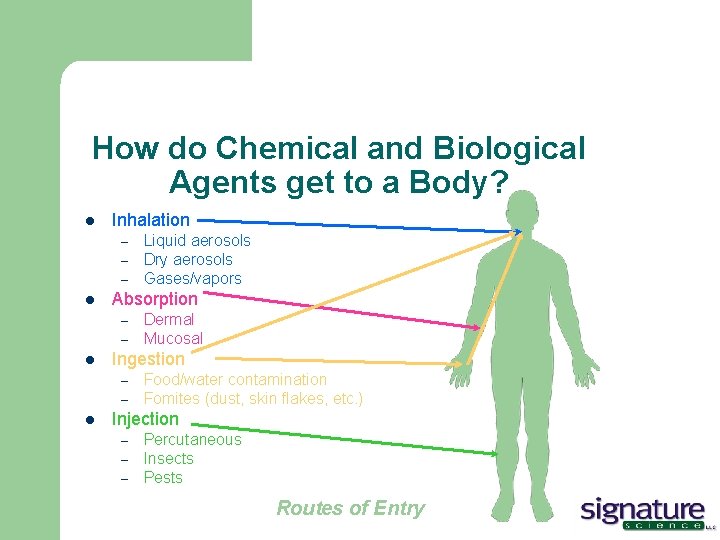 How do Chemical and Biological Agents get to a Body? l Inhalation – –