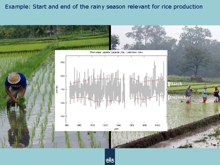 Example: Start and end of the rainy season relevant for rice production March December