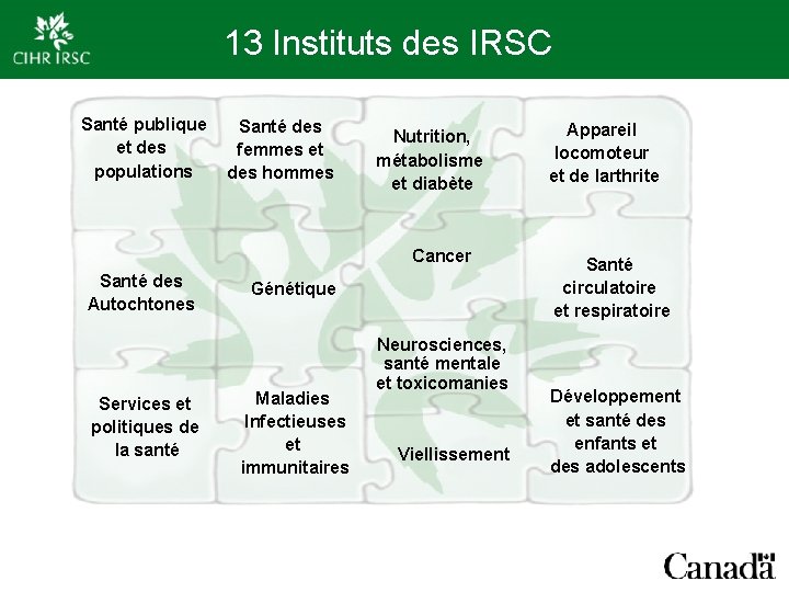 13 Instituts des IRSC Santé publique et des populations Santé des femmes et des