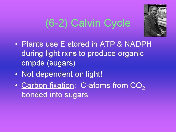 (6 -2) Calvin Cycle • Plants use E stored in ATP & NADPH during