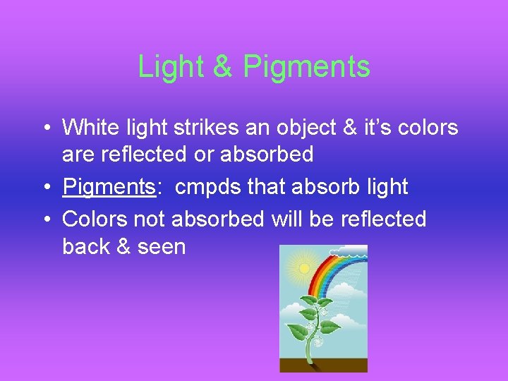 Light & Pigments • White light strikes an object & it’s colors are reflected