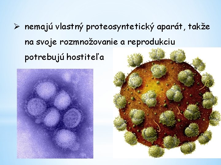 Ø nemajú vlastný proteosyntetický aparát, takže na svoje rozmnožovanie a reprodukciu potrebujú hostiteľa 