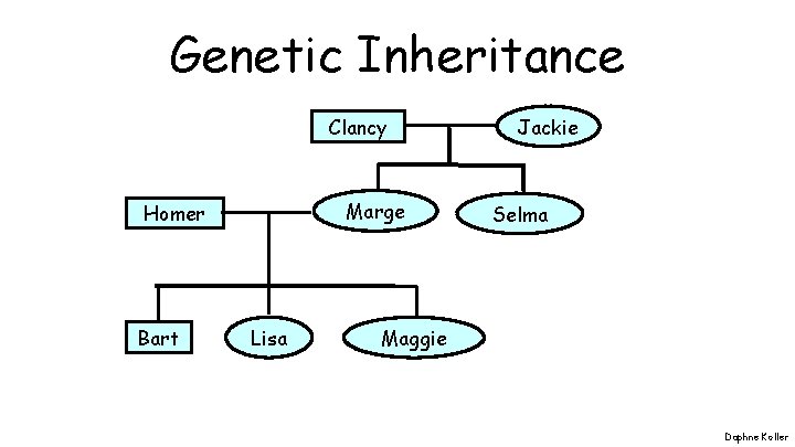 Genetic Inheritance Clancy Marge Homer Bart Lisa Jackie Selma Maggie Daphne Koller 