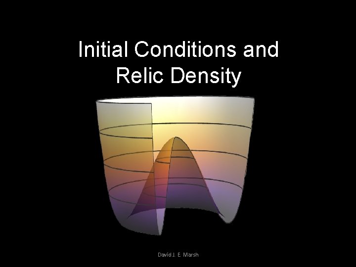 Initial Conditions and Relic Density David J. E. Marsh 