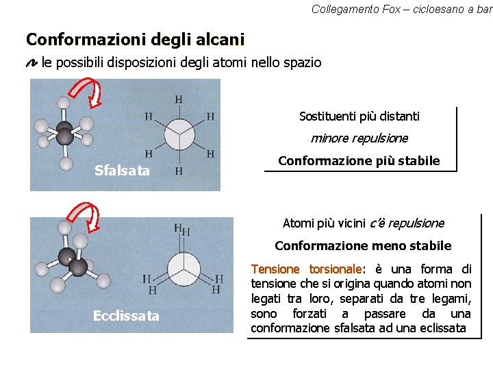 Collegamento Fox – cicloesano a barc Conformazioni degli alcani le possibili disposizioni degli atomi