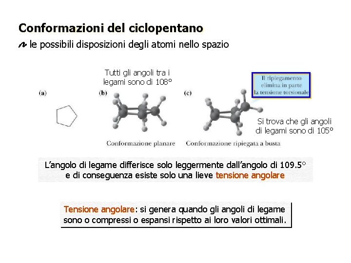 Conformazioni del ciclopentano le possibili disposizioni degli atomi nello spazio Tutti gli angoli tra