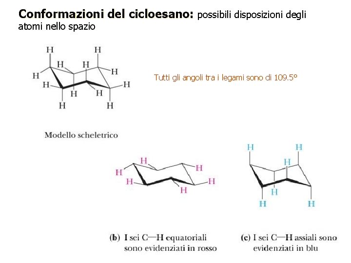 Conformazioni del cicloesano: possibili disposizioni degli atomi nello spazio Tutti gli angoli tra i