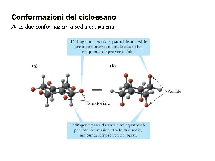 Conformazioni del cicloesano Le due conformazioni a sedia equivalenti 