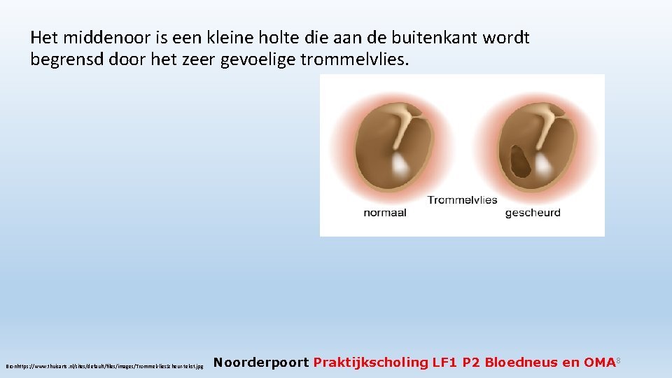 Het middenoor is een kleine holte die aan de buitenkant wordt begrensd door het
