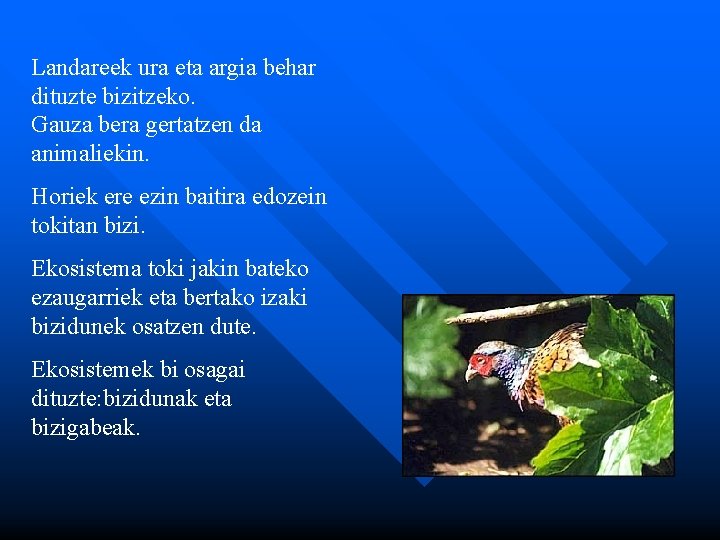 Landareek ura eta argia behar dituzte bizitzeko. Gauza bera gertatzen da animaliekin. Horiek ere