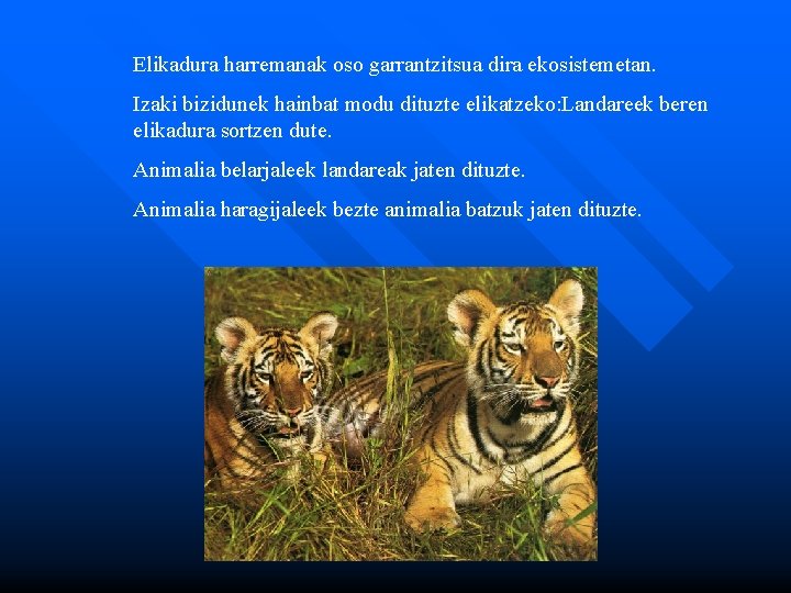 Elikadura harremanak oso garrantzitsua dira ekosistemetan. Izaki bizidunek hainbat modu dituzte elikatzeko: Landareek beren