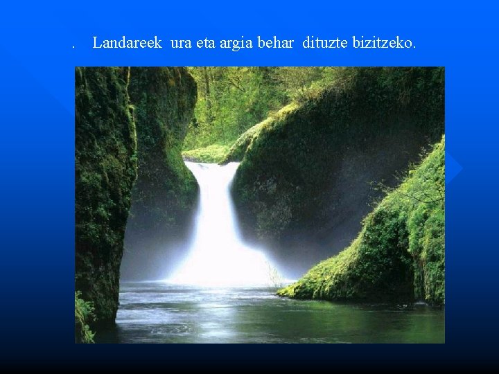 . Landareek ura eta argia behar dituzte bizitzeko. 