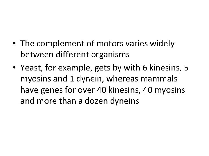  • The complement of motors varies widely between different organisms • Yeast, for