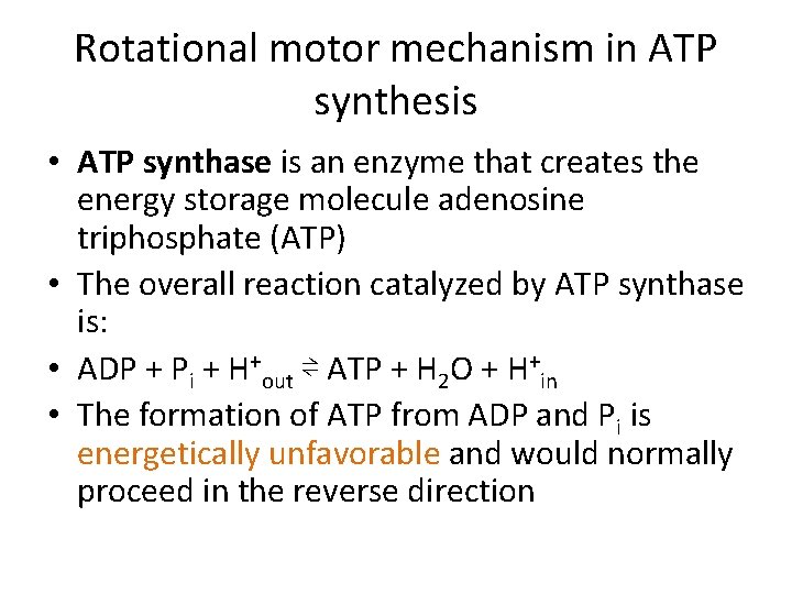 Rotational motor mechanism in ATP synthesis • ATP synthase is an enzyme that creates