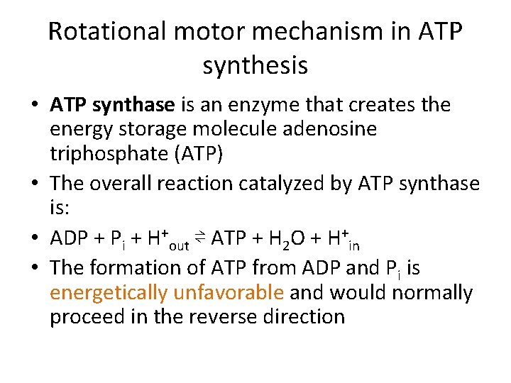 Rotational motor mechanism in ATP synthesis • ATP synthase is an enzyme that creates