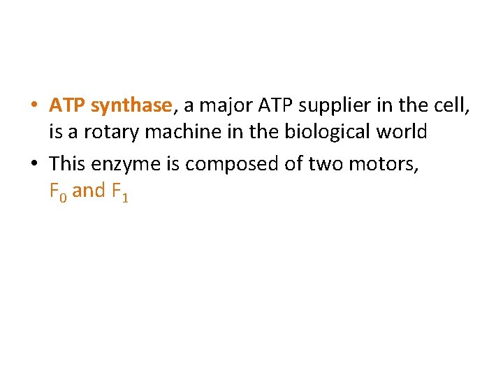  • ATP synthase, a major ATP supplier in the cell, is a rotary