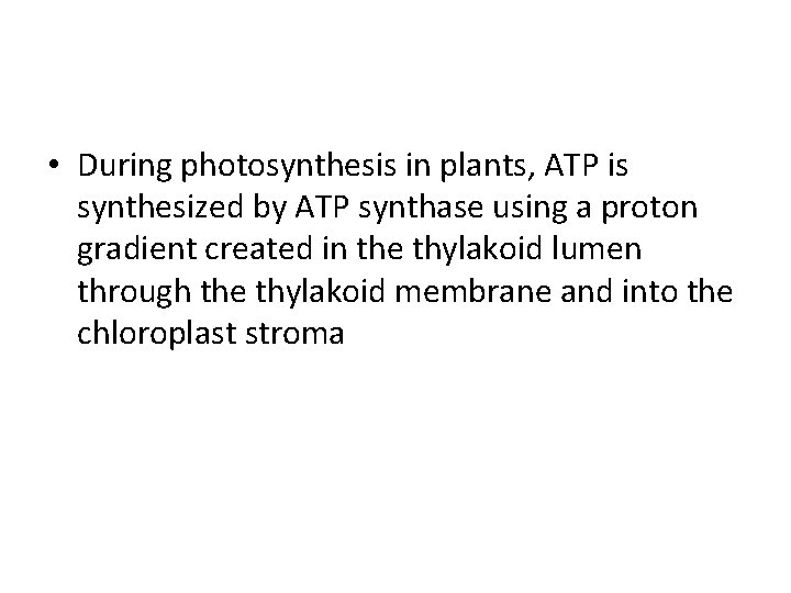  • During photosynthesis in plants, ATP is synthesized by ATP synthase using a