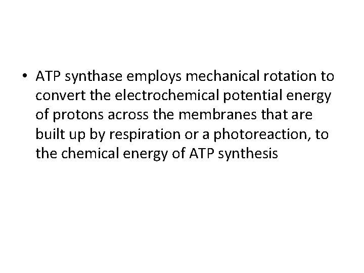  • ATP synthase employs mechanical rotation to convert the electrochemical potential energy of