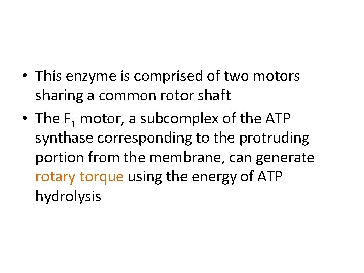  • This enzyme is comprised of two motors sharing a common rotor shaft