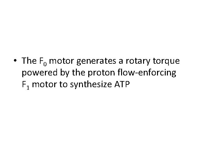  • The F 0 motor generates a rotary torque powered by the proton