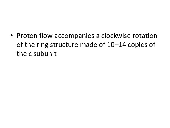  • Proton flow accompanies a clockwise rotation of the ring structure made of