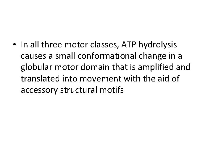  • In all three motor classes, ATP hydrolysis causes a small conformational change