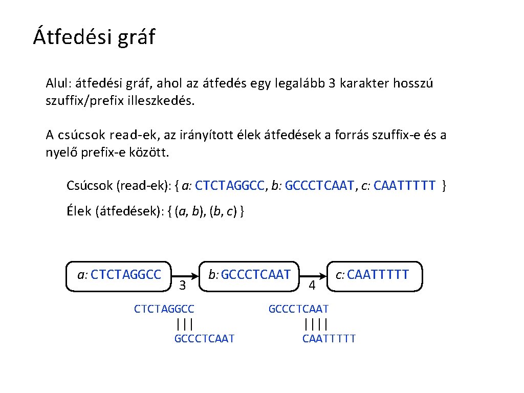 Átfedési gráf Alul: átfedési gráf, ahol az átfedés egy legalább 3 karakter hosszú szuffix/prefix