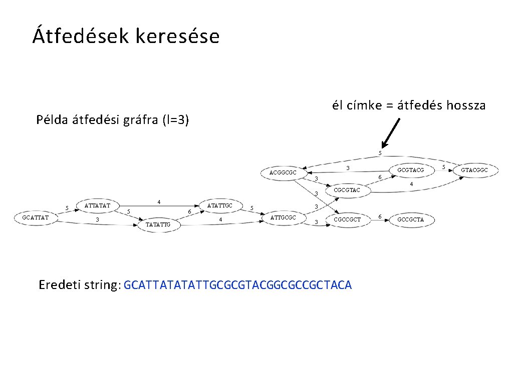 Átfedések keresése él címke = átfedés hossza Példa átfedési gráfra (l=3) 5 ACGGCGC 3