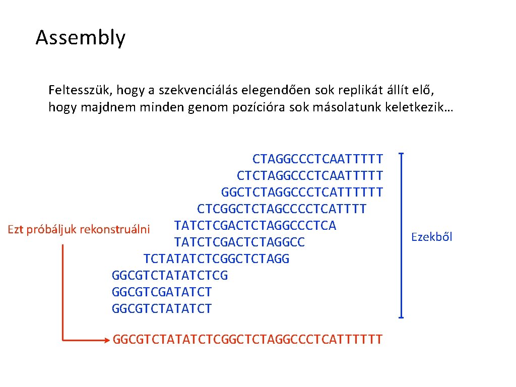 Assembly Feltesszük, hogy a szekvenciálás elegendően sok replikát állít elő, hogy majdnem minden genom