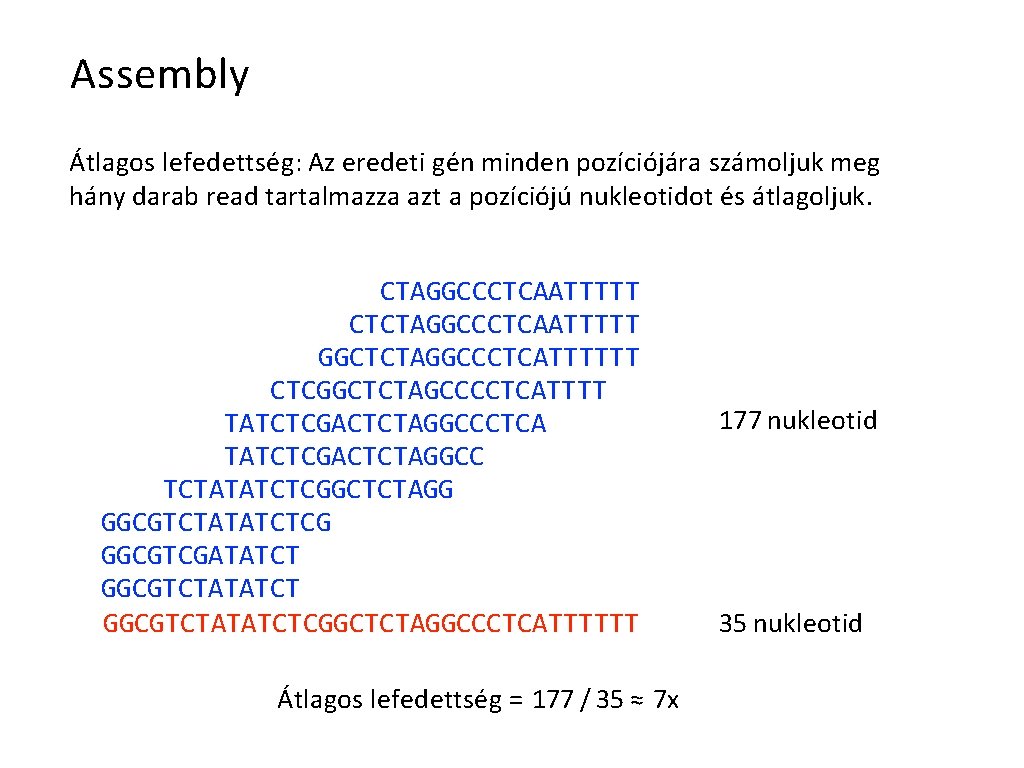 Assembly Átlagos lefedettség: Az eredeti gén minden pozíciójára számoljuk meg hány darab read tartalmazza