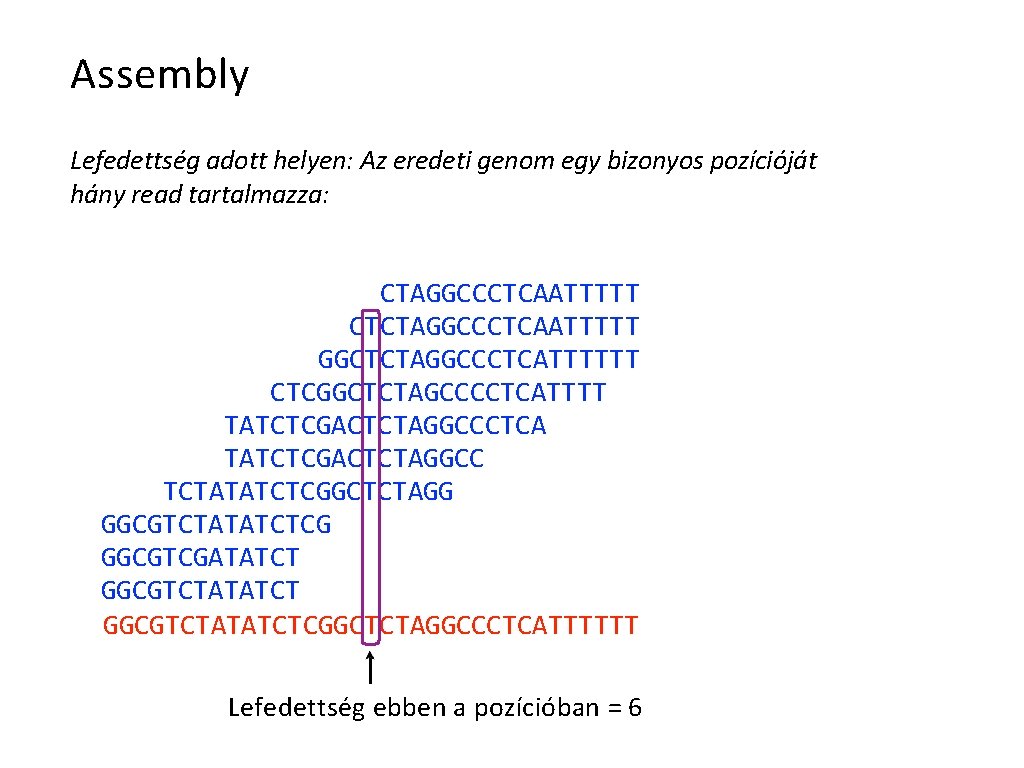 Assembly Lefedettség adott helyen: Az eredeti genom egy bizonyos pozícióját hány read tartalmazza: CTAGGCCCTCAATTTTT