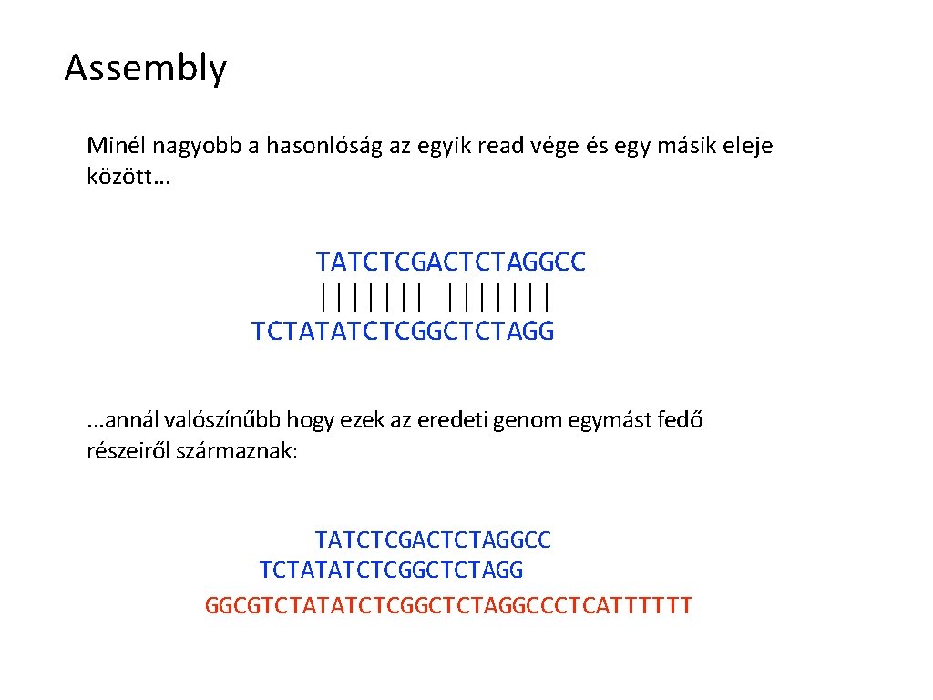 Assembly Minél nagyobb a hasonlóság az egyik read vége és egy másik eleje között.