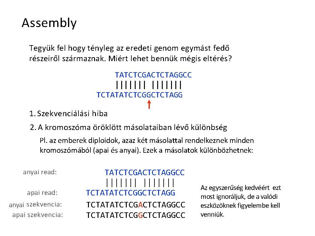 Assembly Tegyük fel hogy tényleg az eredeti genom egymást fedő részeiről származnak. Miért lehet