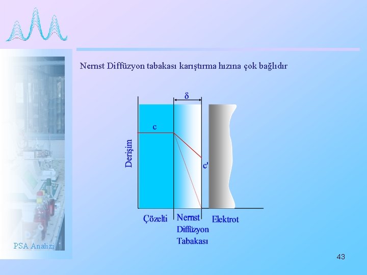 Nernst Diffüzyon tabakası karıştırma hızına çok bağlıdır PSA Analizi 43 