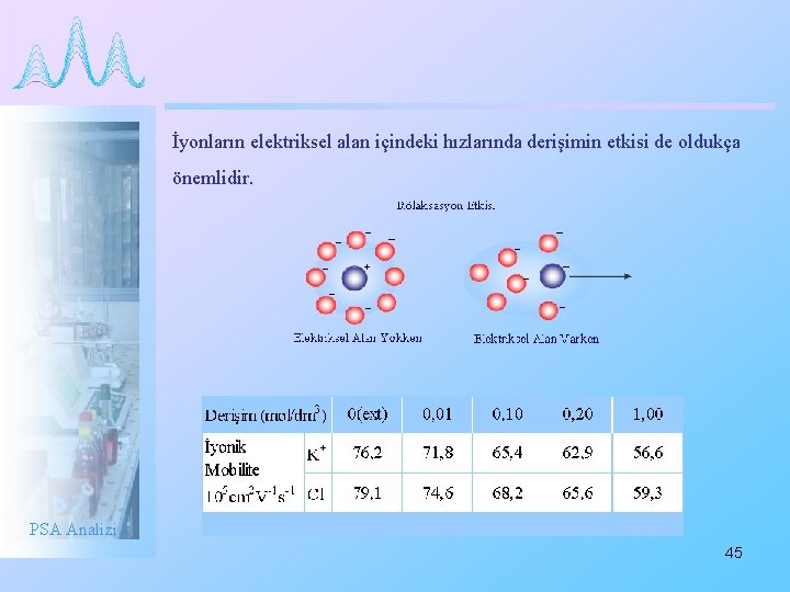 İyonların elektriksel alan içindeki hızlarında derişimin etkisi de oldukça önemlidir. PSA Analizi 45 