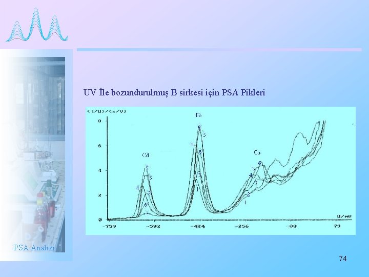 UV İle bozundurulmuş B sirkesi için PSA Pikleri PSA Analizi 74 