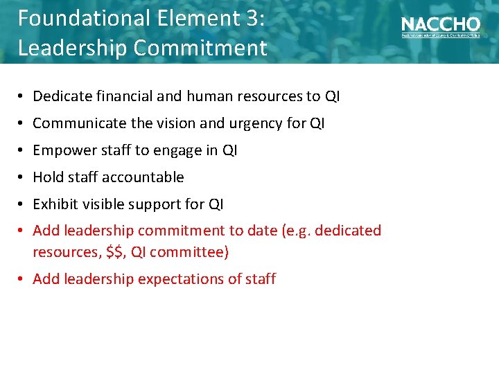 Foundational Element 3: Leadership Commitment • Dedicate financial and human resources to QI •