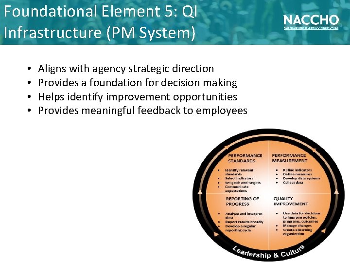 Foundational Element 5: QI Infrastructure (PM System) • • Aligns with agency strategic direction