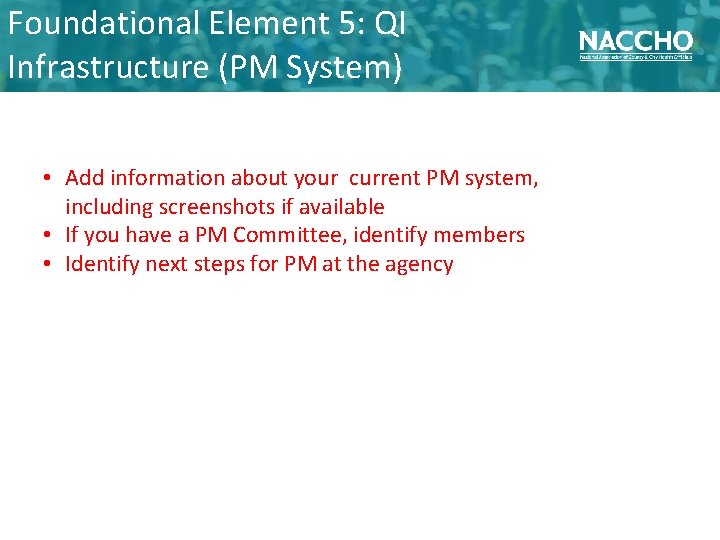 Foundational Element 5: QI Infrastructure (PM System) • Add information about your current PM