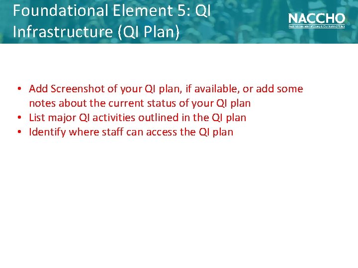 Foundational Element 5: QI Infrastructure (QI Plan) • Add Screenshot of your QI plan,