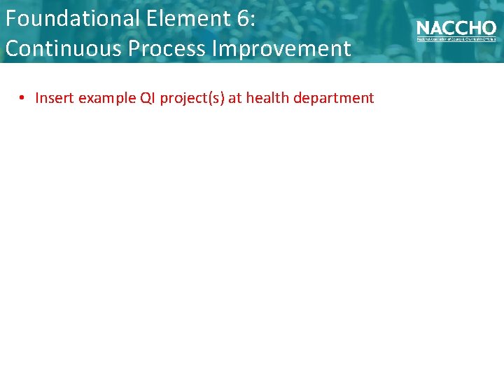Foundational Element 6: Continuous Process Improvement • Insert example QI project(s) at health department
