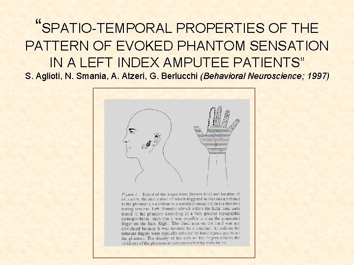 “SPATIO-TEMPORAL PROPERTIES OF THE PATTERN OF EVOKED PHANTOM SENSATION IN A LEFT INDEX AMPUTEE