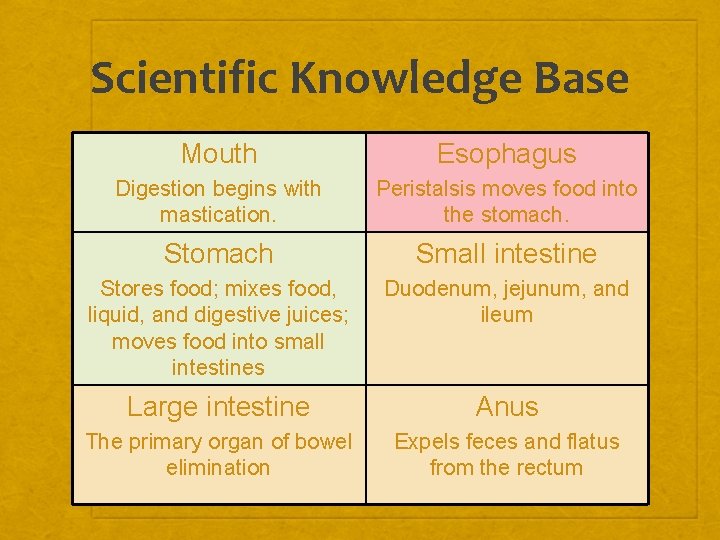 Scientific Knowledge Base Mouth Esophagus Digestion begins with mastication. Peristalsis moves food into the