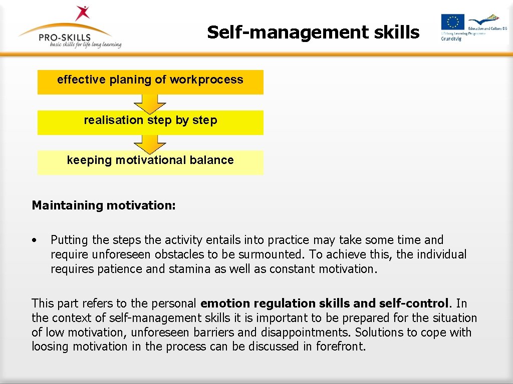 Self-management skills effective planing of workprocess realisation step by step keeping motivational balance Maintaining