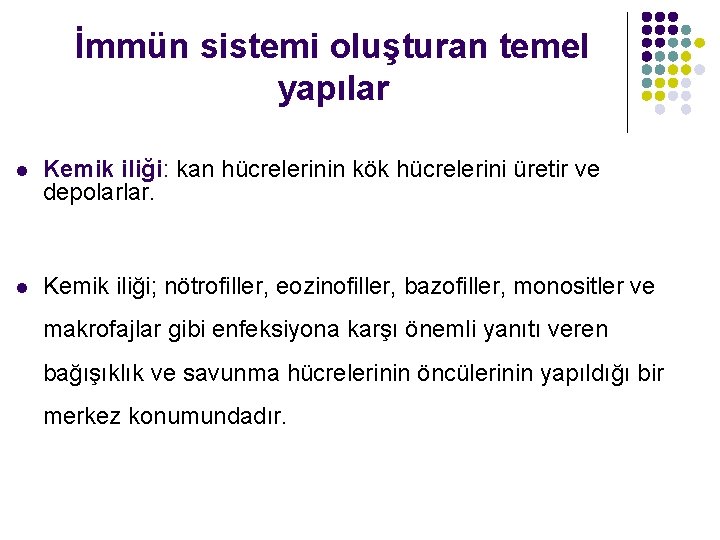 İmmün sistemi oluşturan temel yapılar l Kemik iliği: kan hücrelerinin kök hücrelerini üretir ve