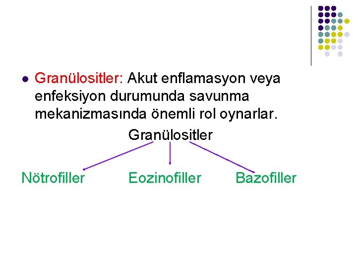 l Granülositler: Akut enflamasyon veya enfeksiyon durumunda savunma mekanizmasında önemli rol oynarlar. Granülositler Nötrofiller