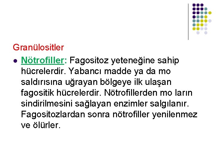 Granülositler l Nötrofiller: Fagositoz yeteneğine sahip hücrelerdir. Yabancı madde ya da mo saldırısına uğrayan